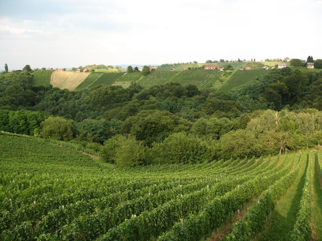 Turisticna Kmetija Dervaric Villa Ljutomer Esterno foto